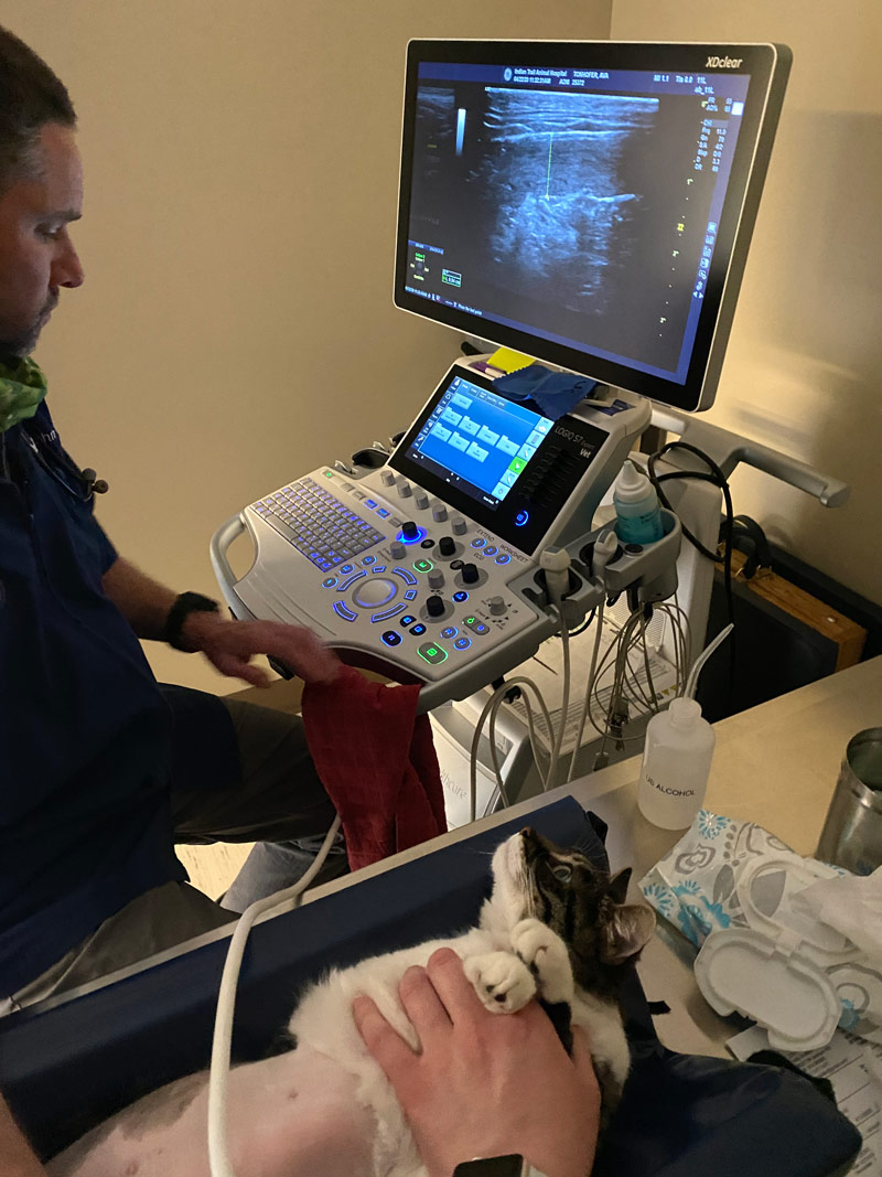 Ultrasound Spokane, WA